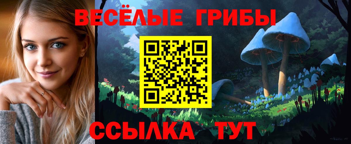 Галлюциногенные грибы Psilocybe Саяногорск
